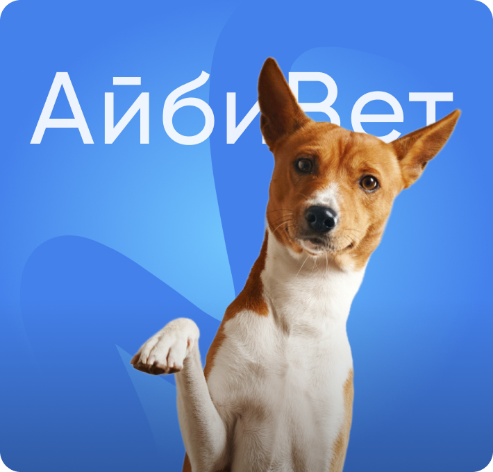 Изображение в каталоге